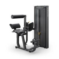 Разгибание спины MATRIX VERSA HEAVY