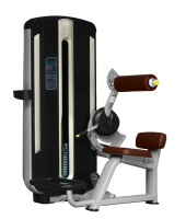 Разгибание спины BRONZE GYM MNM-009 