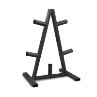 Стойка для дисков BRONZE GYM BR-1033