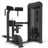 Торс-машина AnyFit PE303-123