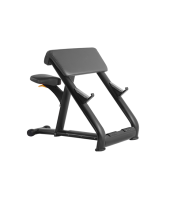 Скамья Скотта BRONZE GYM H-040A (черный)