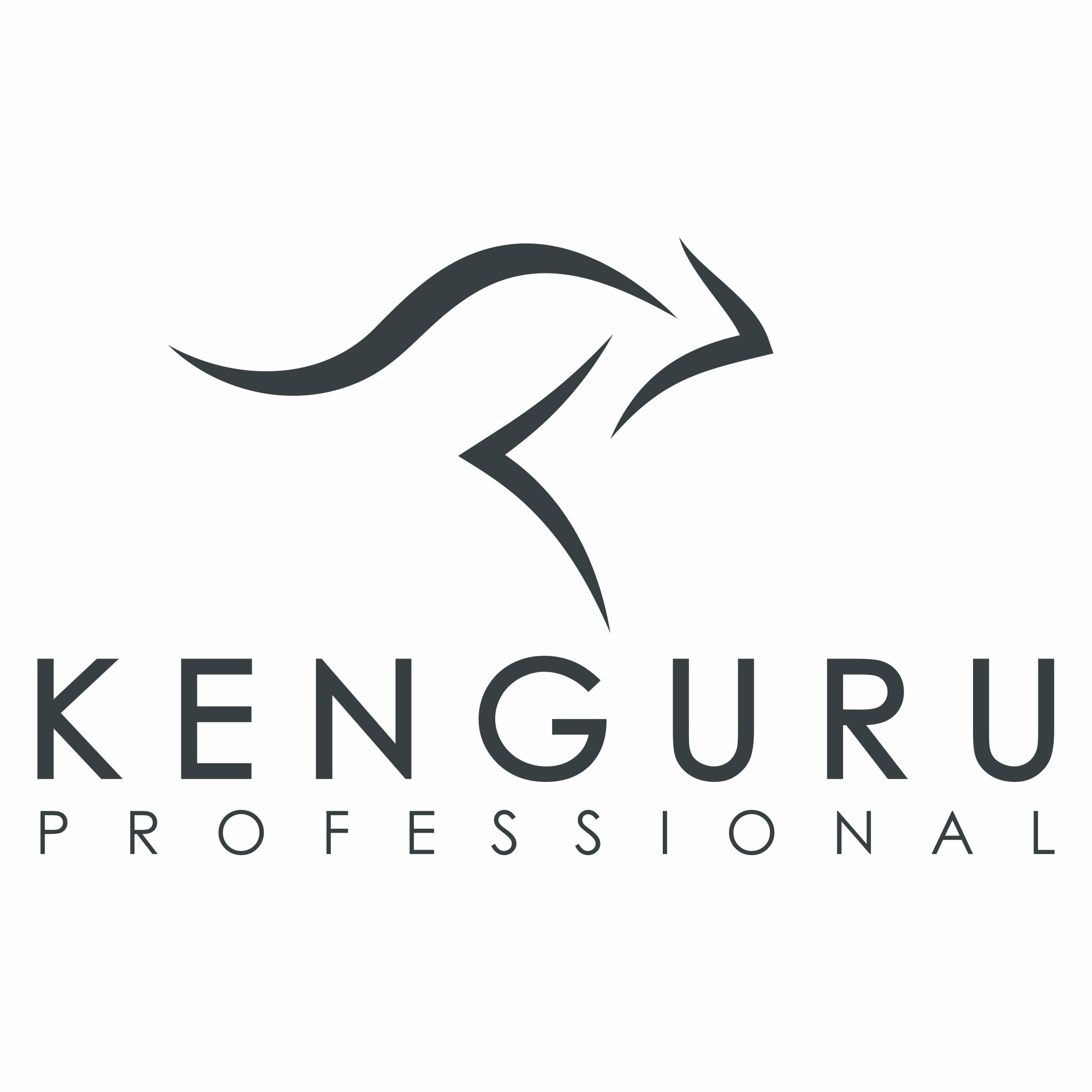 kenguru.pro kenguru.pro