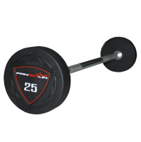 Набор полиуретановых штанг Pangolin Fitness FB006PU - (от 10 до 50кг.)
