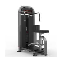 Косые мышцы живота Realleader M2-1021