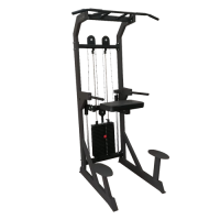 Гравитрон BRONZE GYM BG-AL-701