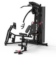 Мультистанция Apex Intense F 800В с жимом ногами