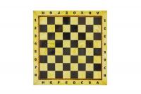 Шахматный ларец из янтаря с доской малый 25*25