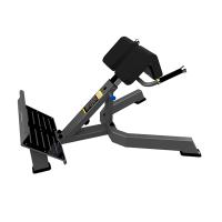 Гиперэкстензия DHZ (Back Extension)