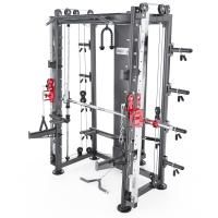 Мультистанция, машина Смита DFC Gorilla Sport 100822