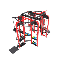 Станция для функционального кругового тренинга Pangolin Fitness SYNERGY 360XM