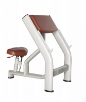 Скамья Скотта BRONZE GYM H-040A (коричневый)