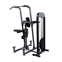 Гравитрон Body-Solid FCD-STK с весовым стеком 95 кг
