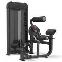 Спина/пресс AnyFit PS06-84