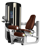 Сгибание ног сидя BRONZE GYM MNM-013