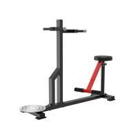 Станция для торса Protrain PP195