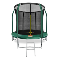 Батут ARLAND премиум 8FT с внутренней сеткой и лестницей (Dark green)