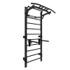 Профессиональная шведская стенка с брусьями и турником Domsen Fitness Ds46 BLACK