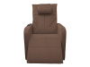 Массажное кресло реклайнер с подъемом FUJIMO LIFT CHAIR F3005 FLFK Терра (Sakura 20)