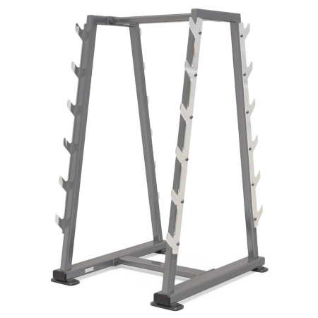 Стойка для грифов AnyFit PEB119