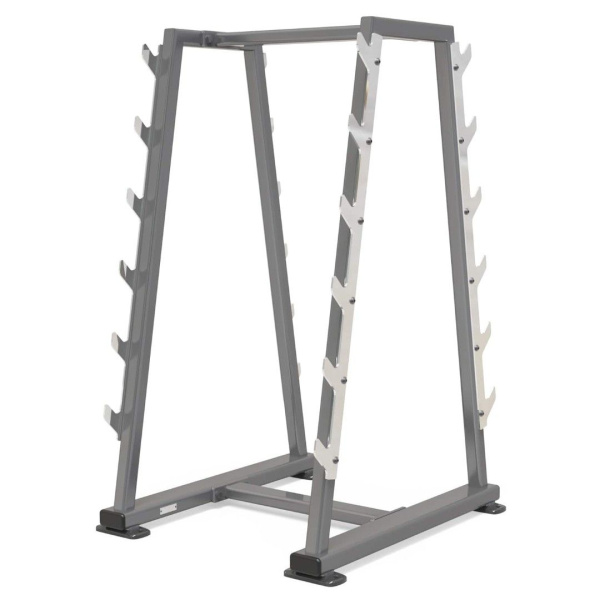 Стойка для грифов AnyFit PEB119