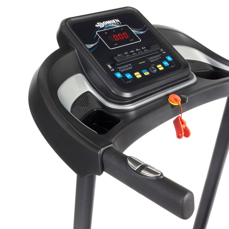 Беговая дорожка Domsen Fitness DST20