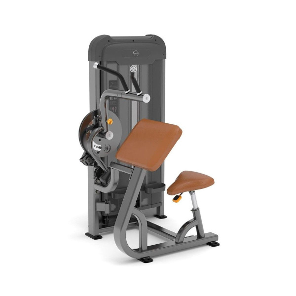 Бицепс/трицепс AnyFit PS03-84