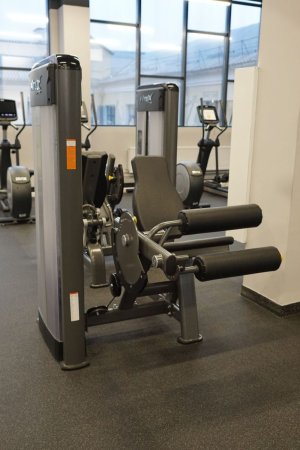 Сгибатель бедра сидя Fitex PRO FTX-61A25