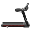 Беговая дорожка CardioPower PRO CT250