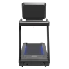 Беговая дорожка CardioPower PRO CT420