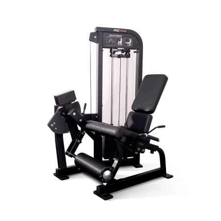 Разгибание ног сидя Protrain CP113