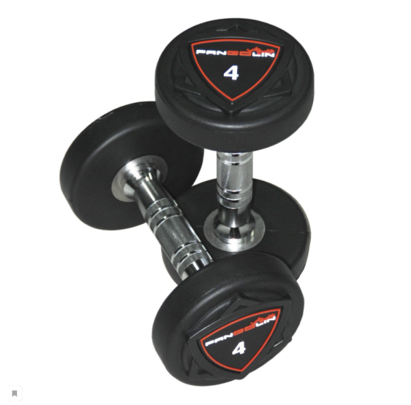 Круглые полиуретановые гантели Pangolin Fitness DB006PU