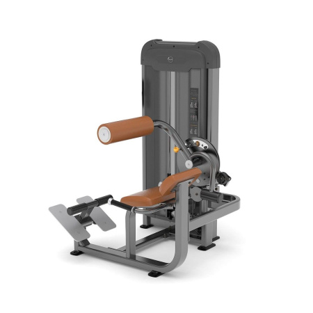 Спина/пресс AnyFit PS06-84