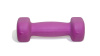 Гантели для фитнеса Original FitTools FT-NDB-1