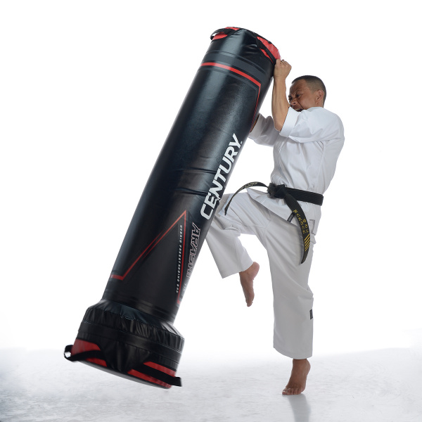 Спортивный тренажер для единоборств Century ARASHI 770