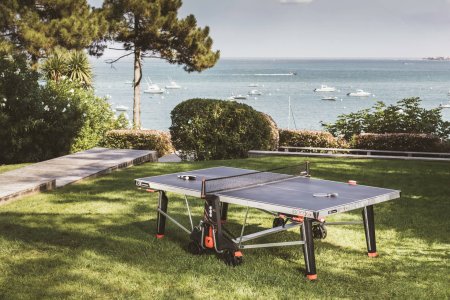 Теннисный стол CORNILLEAU 600X Performance Outdoor (черный)