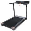 Беговая дорожка Ergonova MaxBurn Pro
