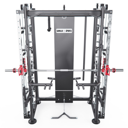 Мультистанция, машина Смита DFC Gorilla Sport 100822