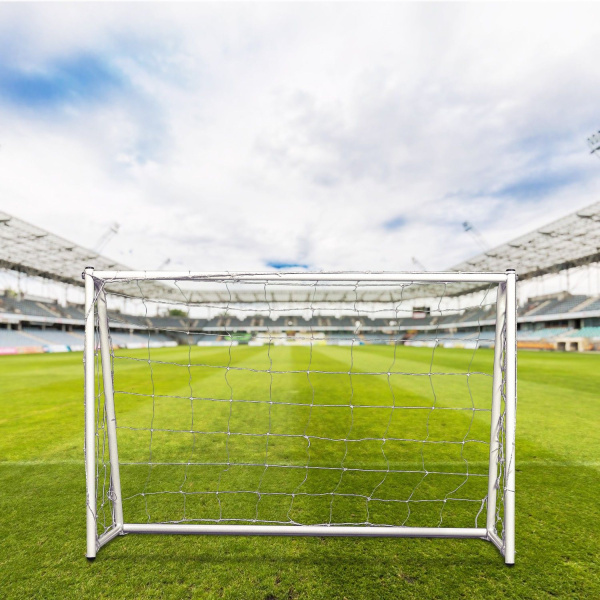 Ворота игровые DFC GOAL120 120x80x55cm