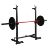 Стойка под штангу домашняя OXYGEN FITNESS RACK