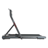 Беговая дорожка Ergonova MaxBURN+