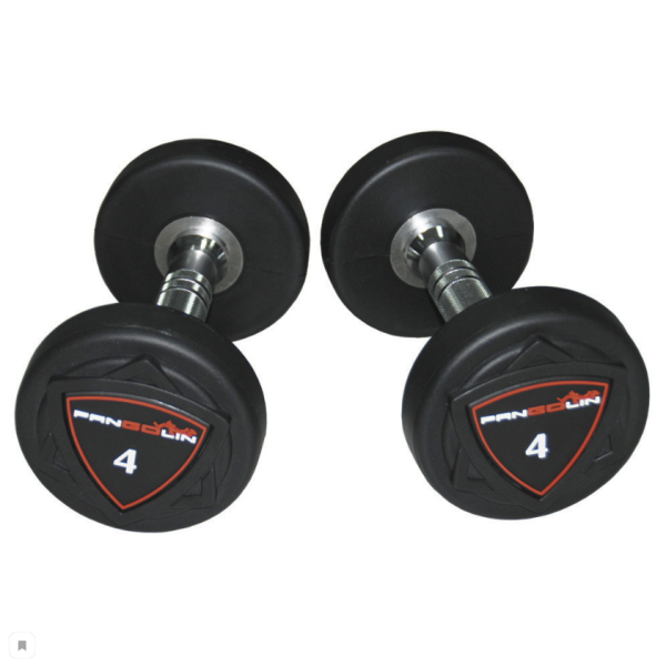 Круглые полиуретановые гантели Pangolin Fitness DB006PU