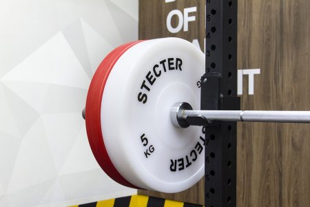 Технический диск для штанги 5 кг STECTER (D=450 мм, пластик)