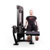 Разгибание ног сидя Protrain CP113