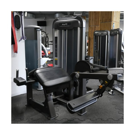 Сгибание ног AnyFit PE203-66