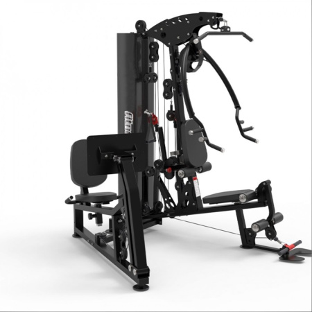 Мультистанция Apex Intense F 800В с жимом ногами