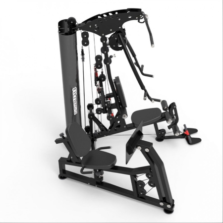 Мультистанция Apex Intense F 800В с жимом ногами