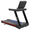 Беговая дорожка CardioPower PRO CT420