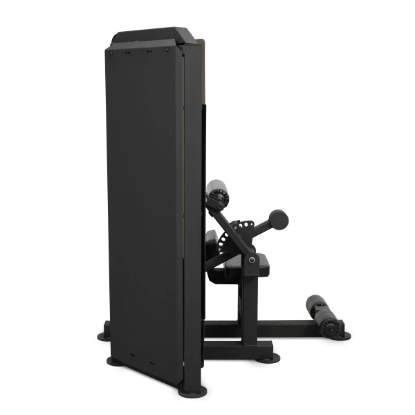 Пресс-машина профессиональный BRONZE GYM PARTNER ML-812