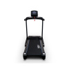 Электрическая беговая дорожка Everyfit 74203B