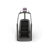 Тренажер-лестница Stairmill AnyFit AI-5
